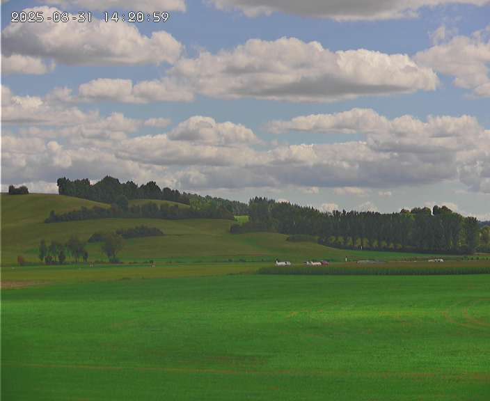 Kein Bild für Webcam 01 verfügbar