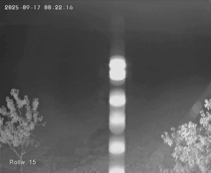Kein Bild für Webcam 02 verfügbar
