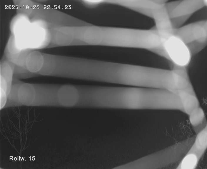 Kein Bild für Webcam 02 verfügbar