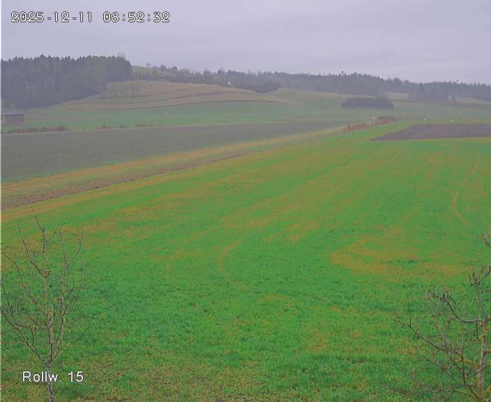 Kein Bild für Webcam 02 verfügbar